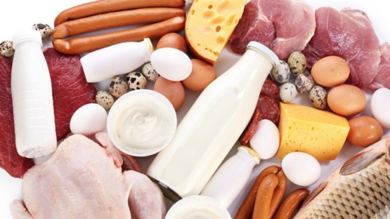 Мясо и молочные продукты - источники белков